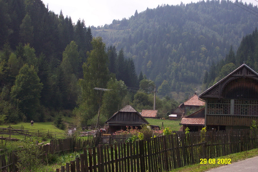 2002-08-29 12-00-38.JPG - RO Muntele Baisoara südwestlich von Cluj